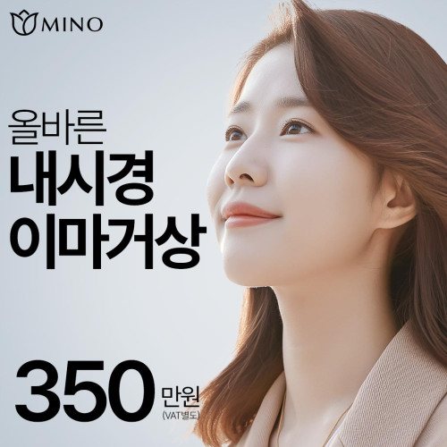 MINO 올바른 내시경 이마거상 350만원 (VAT별도)